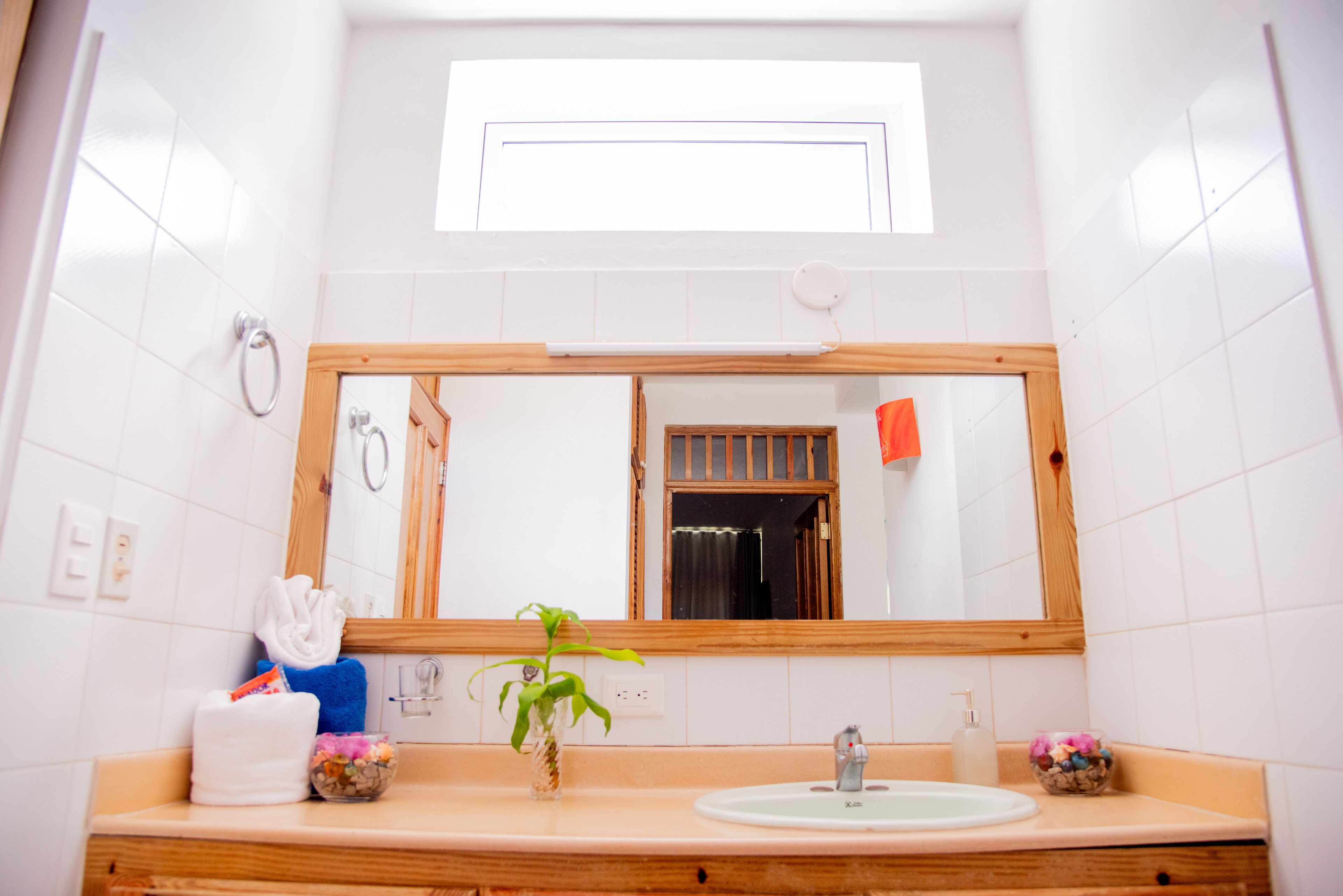 Un baño con un espejo grande, un lavabo, una toalla, una planta y un ventanal.