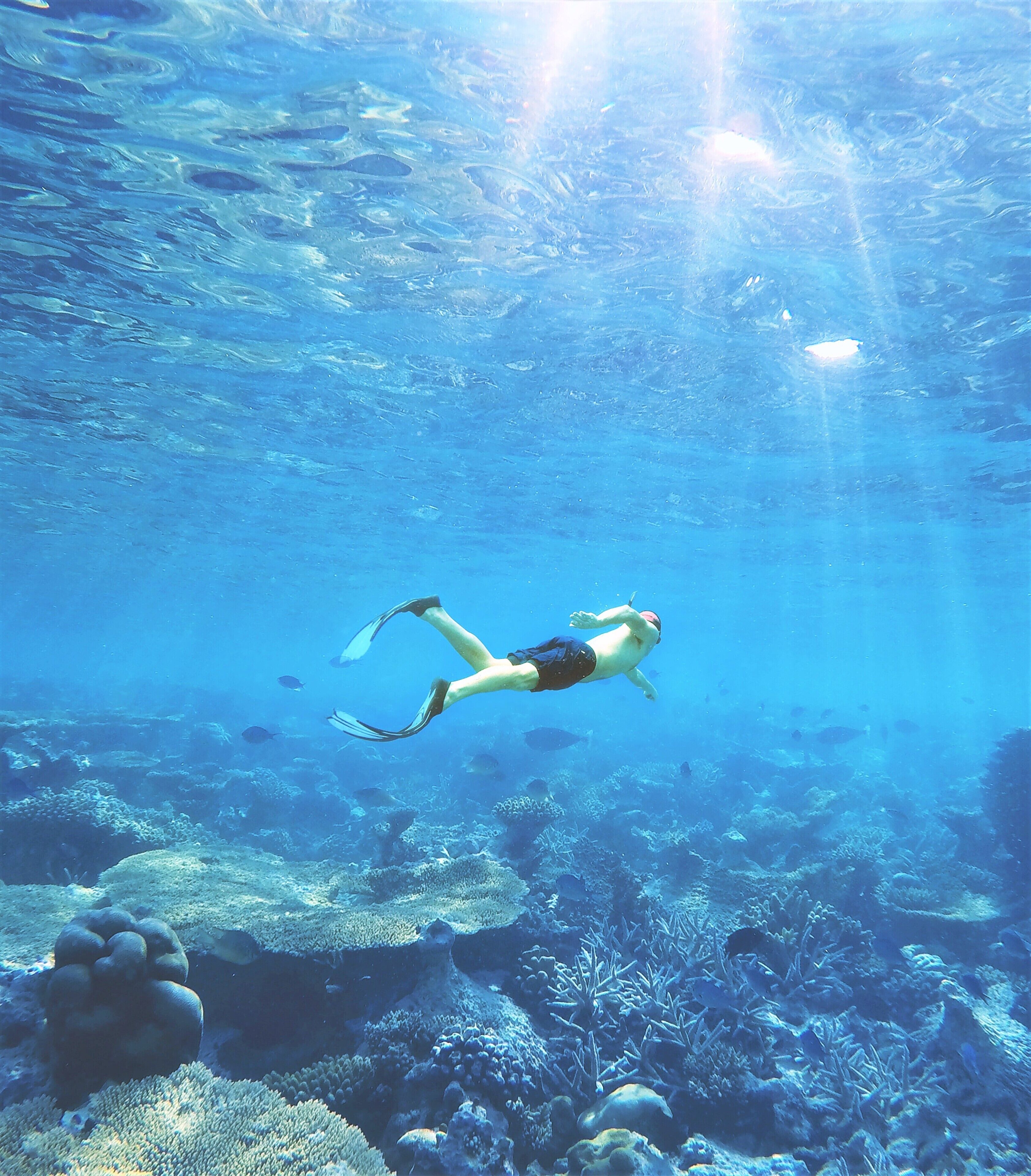 Un buceador nada en aguas azules cristalinas con un arrecife de coral abajo.