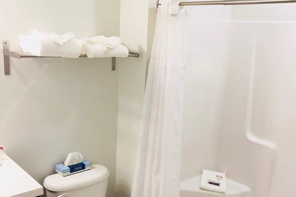Shower, free toiletries, hair dryer, towels