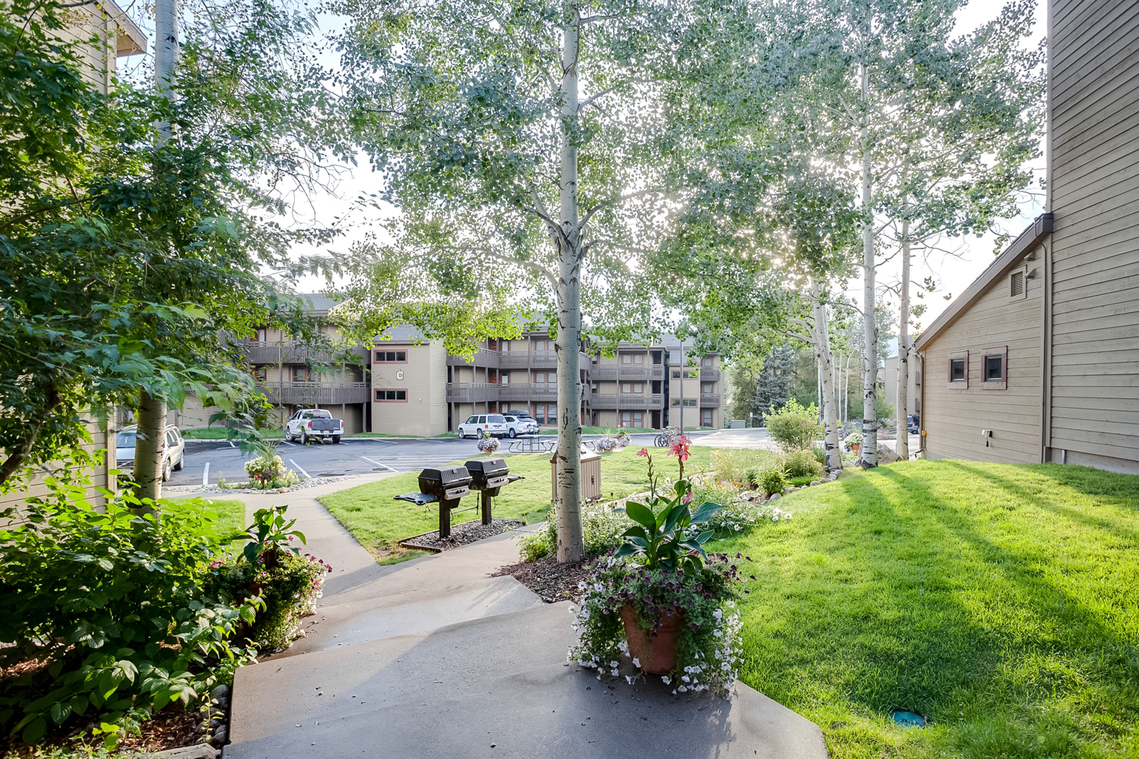 A residential area with a pathway leading to a building, surrounded by greenery and parked cars.