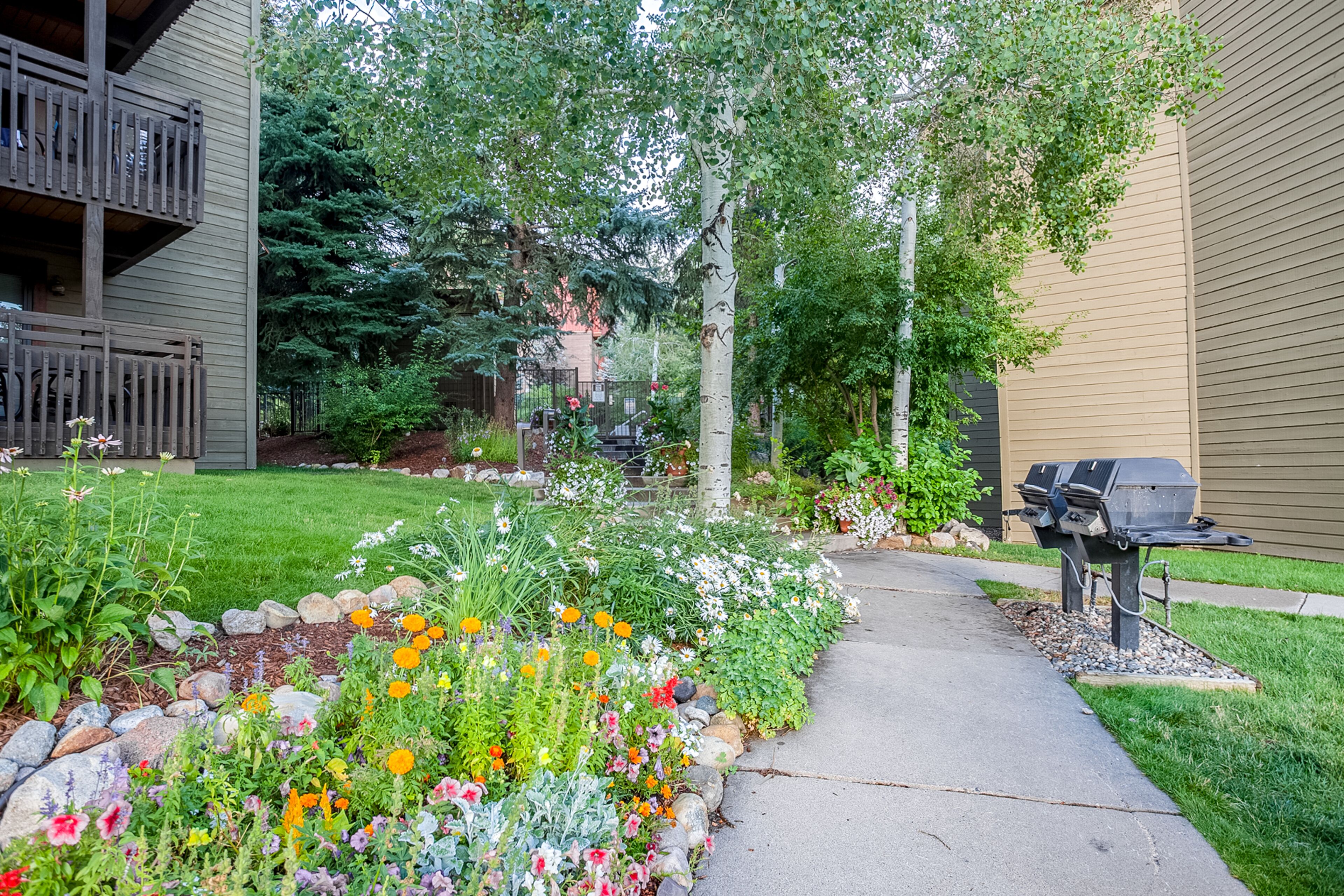 Un jardin résidentiel avec un chemin, un barbecue et un immeuble à plusieurs étages doté de balcons.