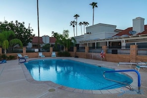 Une piscine avec des chaises longues et des palmiers en arrière-plan.
