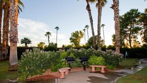 An outdoor patio area with a concrete pathway, two barbecue grills, and several pink flamingo-shaped planters. - Ultra Chic and Modern By Signature Vacation Rentals (Scottsdale)