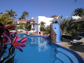 Outdoor pool, pool loungers