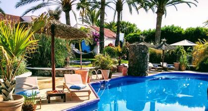 Birdcage Gay Resort - Adult Only