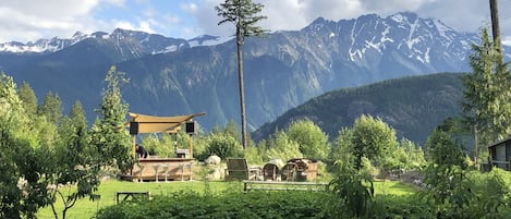 Garden view