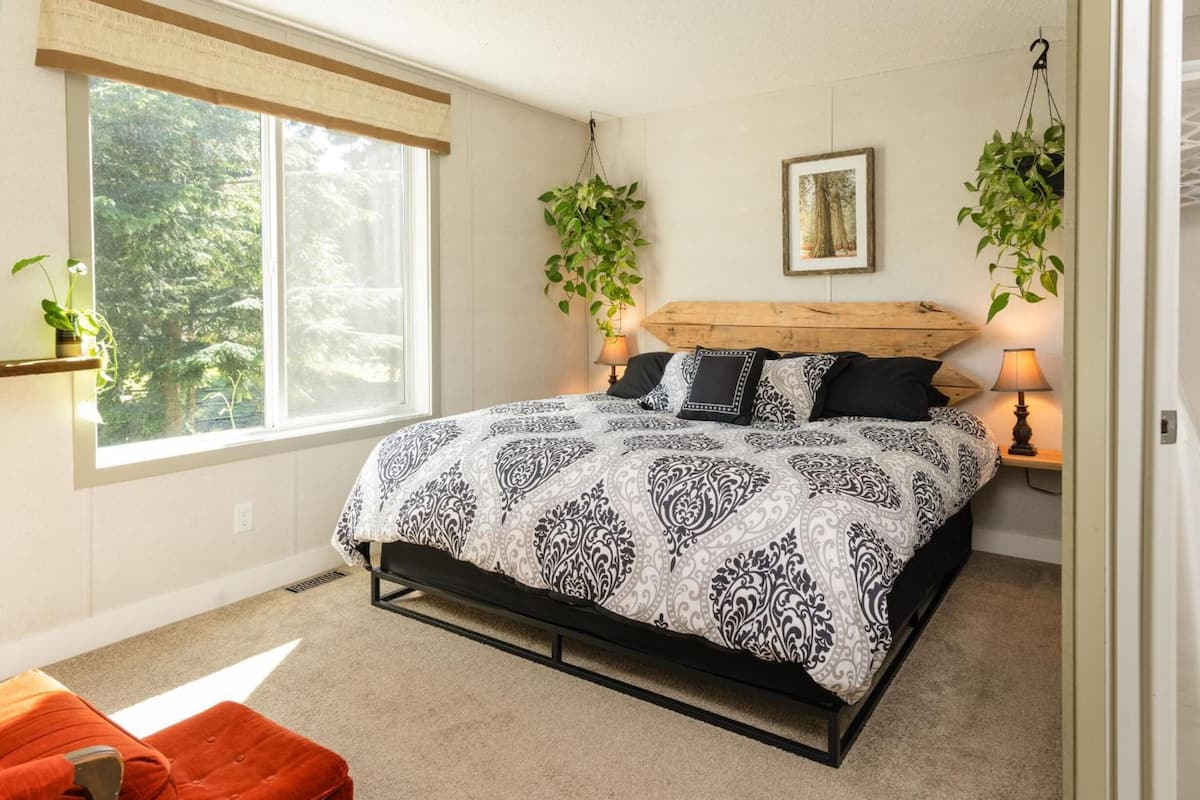 A bedroom with a large bed, two bedside lamps, a wooden headboard, a window with a view of trees, and two hanging plants.