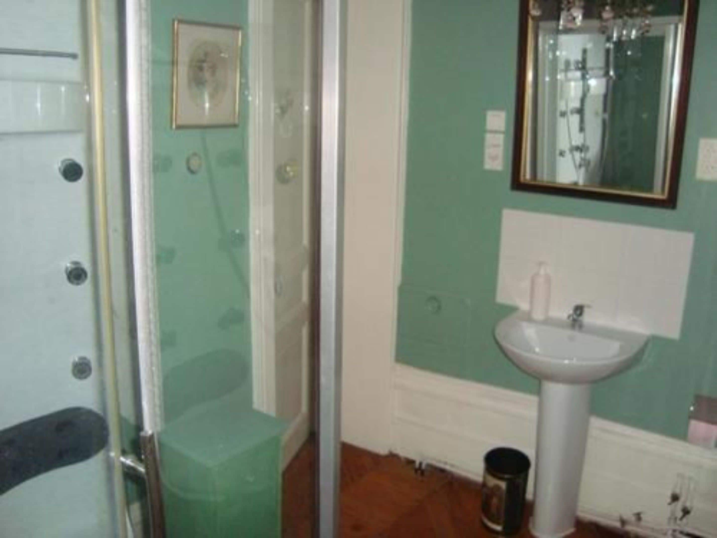 A bathroom with a glass shower enclosure, a white sink, and a mirror above it.