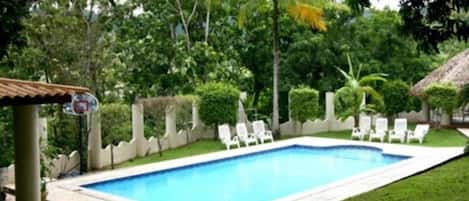 A rectangular swimming pool with a white border, surrounded by a low hedge and white lounge chairs.