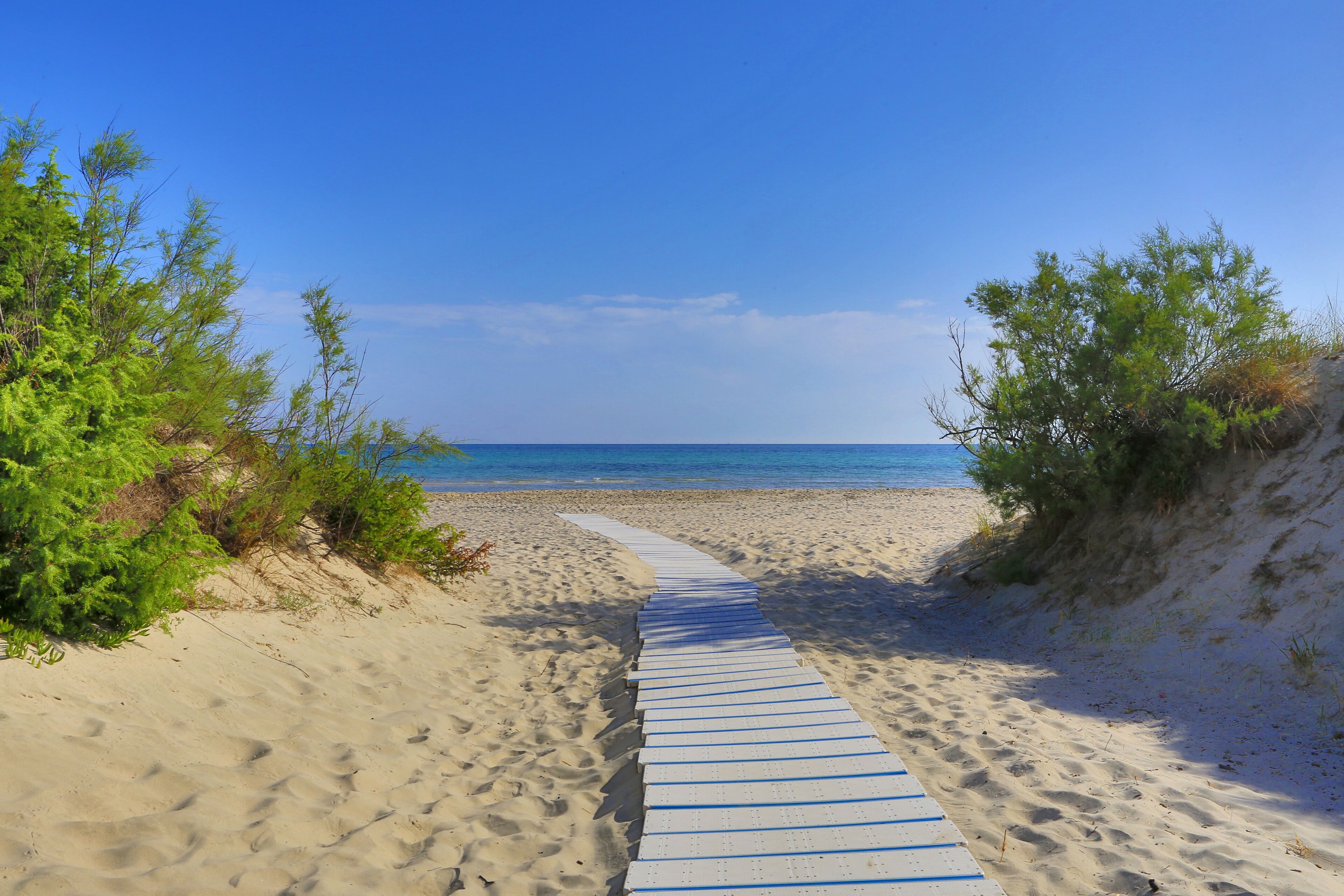 On the beach, sun-loungers, beach umbrellas, beach bar