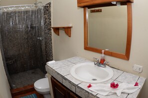 Een badkamer met douche, toilet, wastafel en spiegel.