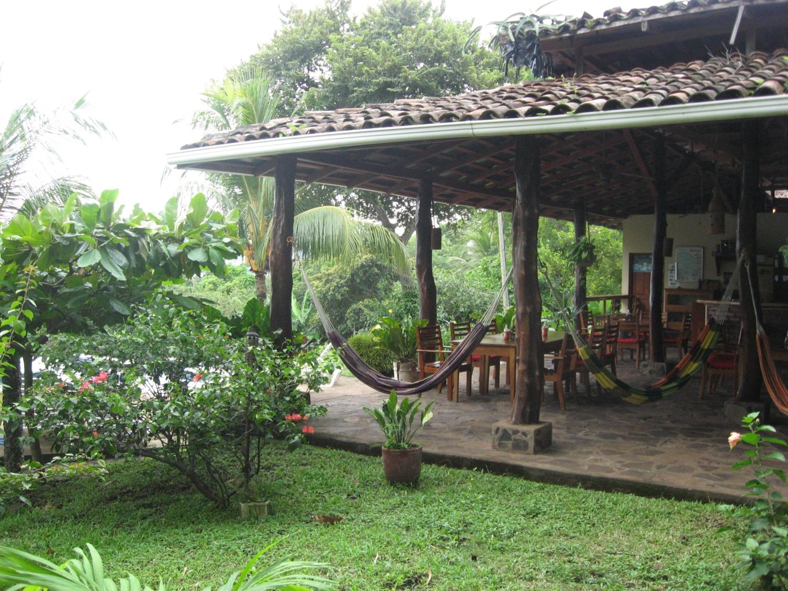 A covered outdoor seating area with hammocks, surrounded by lush greenery and potted plants.