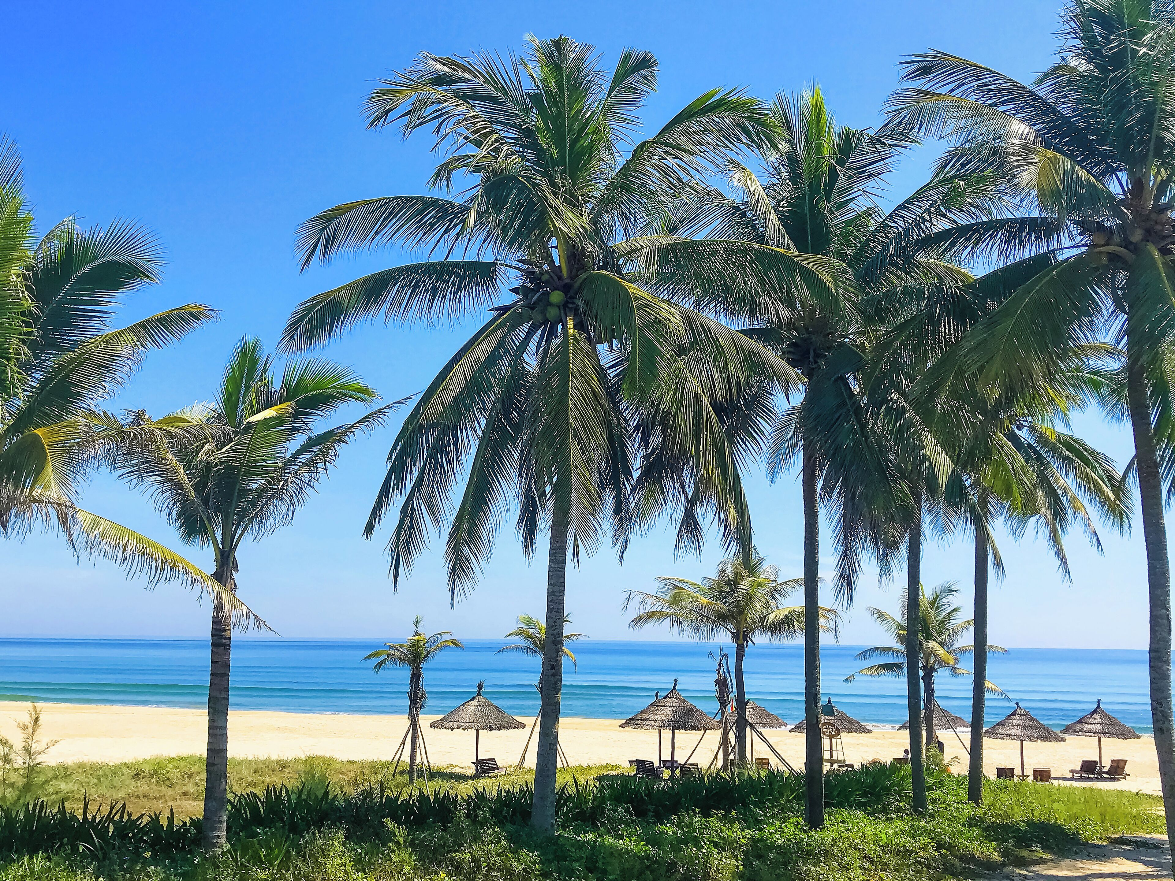 Pemandangan dari properti