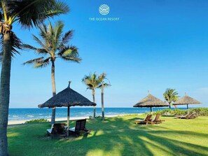 Playa privada, vóley playa y surf