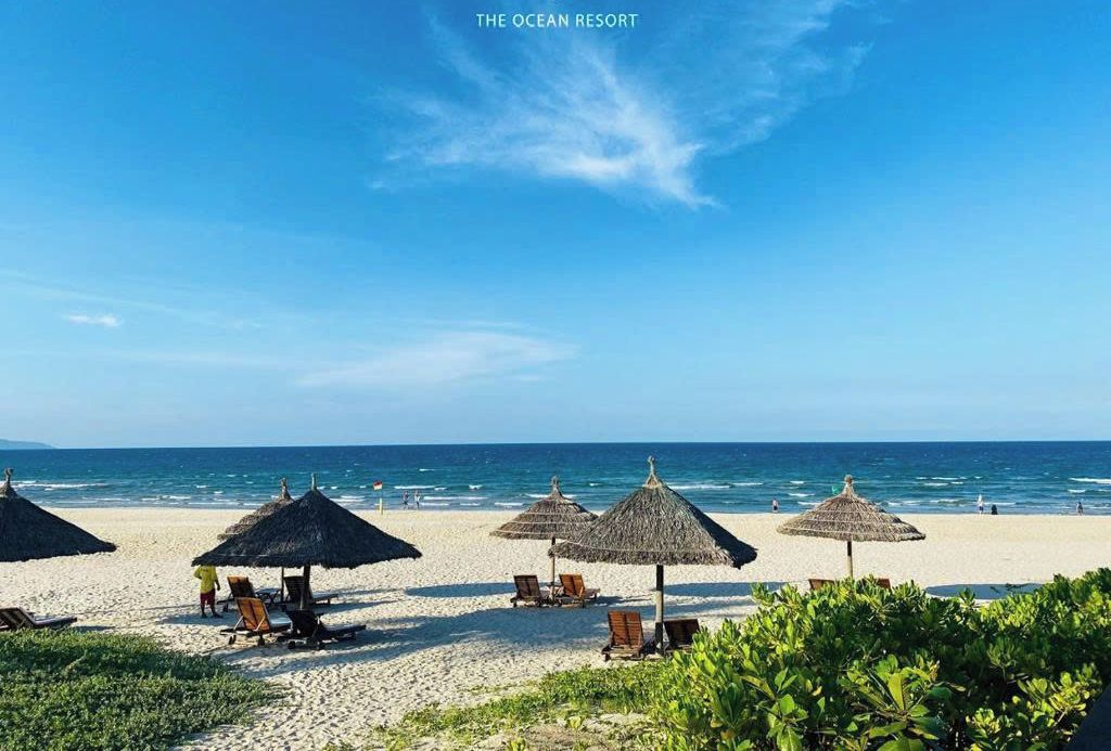 Une plage avec des parasols en chaume et des chaises longues, à l’Ocean Resort.