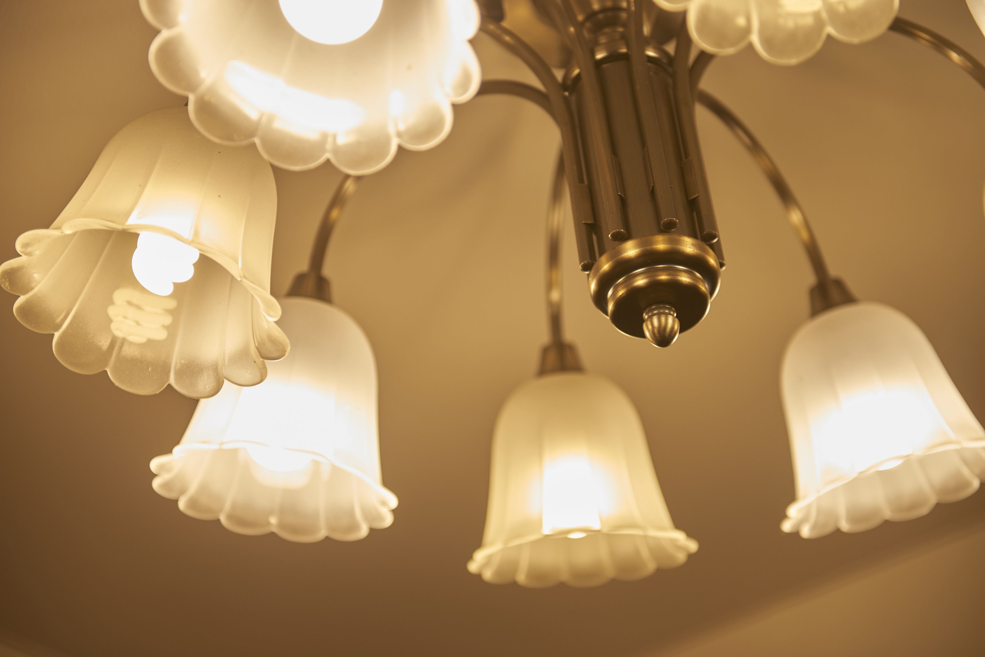 Foto - Select Inn Mishima