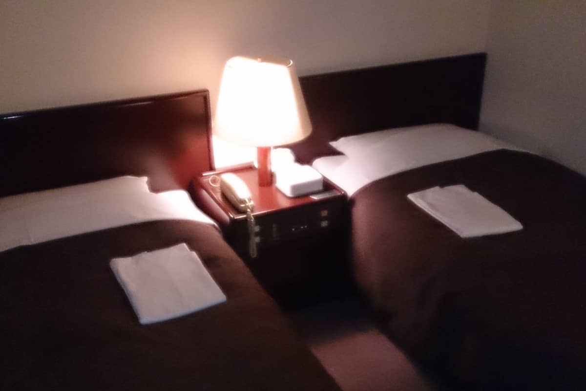 A hotel room with two beds, a nightstand with a lamp, and a telephone.