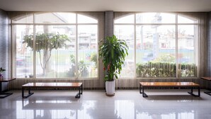 Una habitación amplia con ventanas grandes, una planta en maceta en el centro y dos bancos de madera.