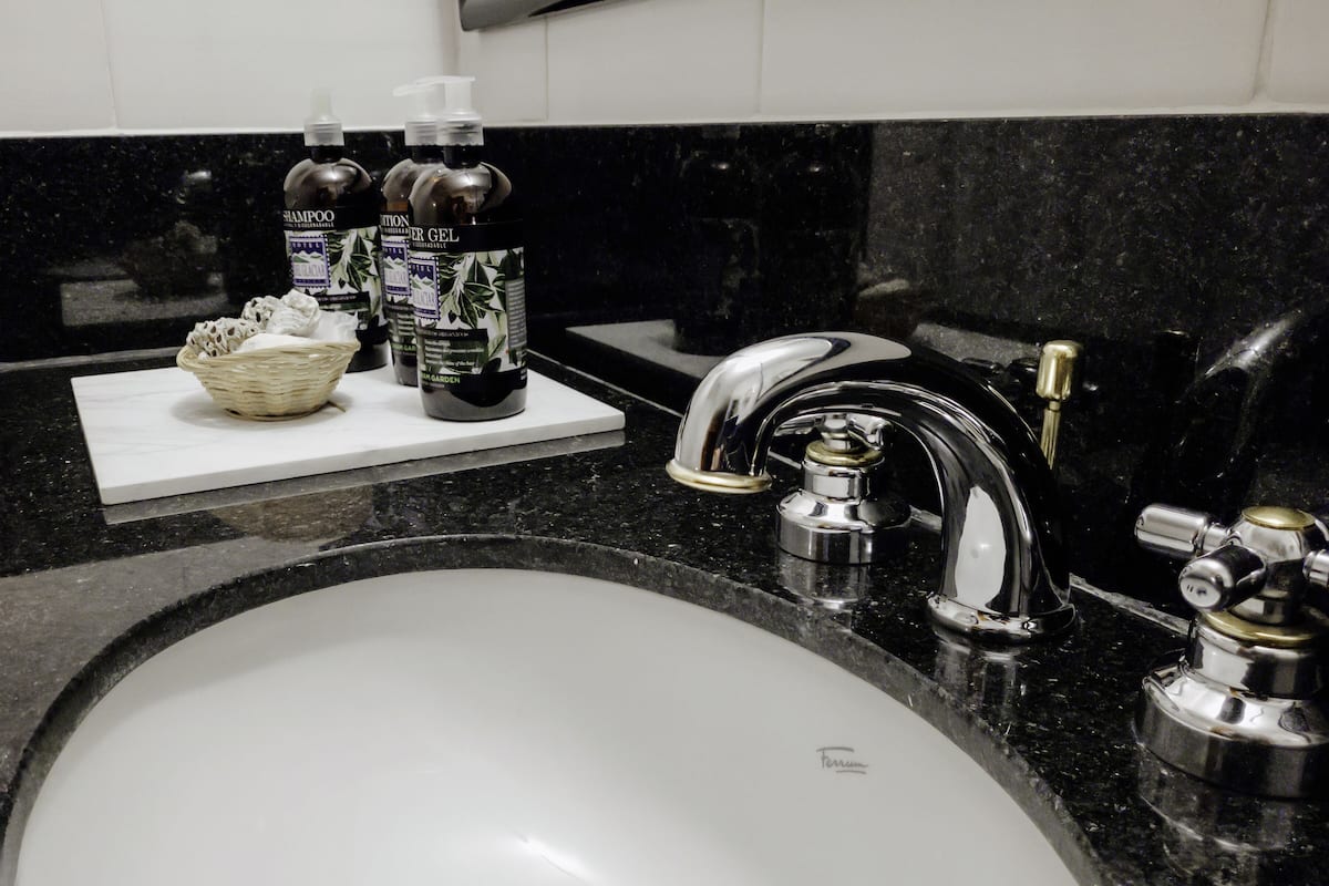 combined shower/bathtub, free toiletries, hair dryer, bidet