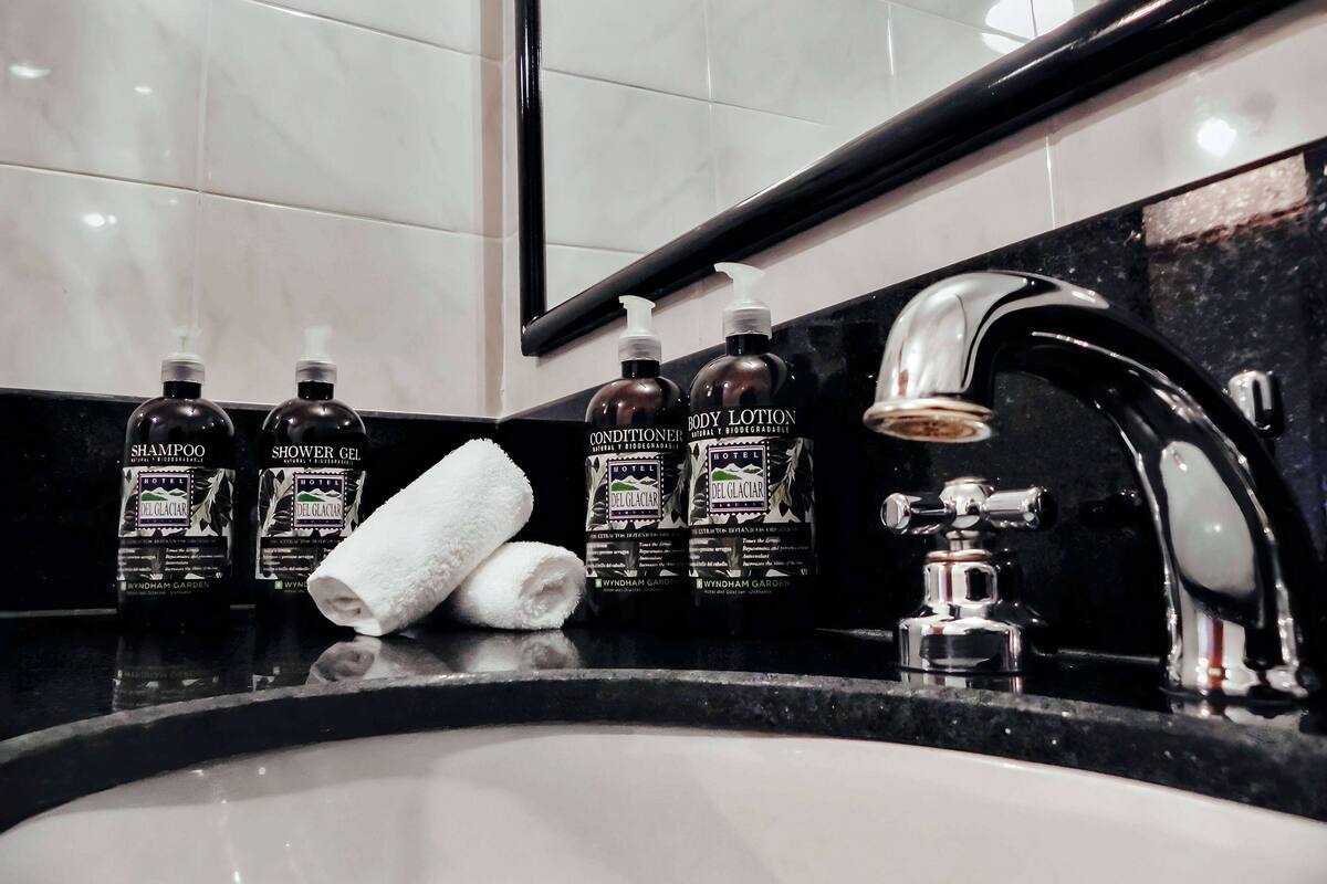 combined shower/bathtub, free toiletries, hair dryer, bidet