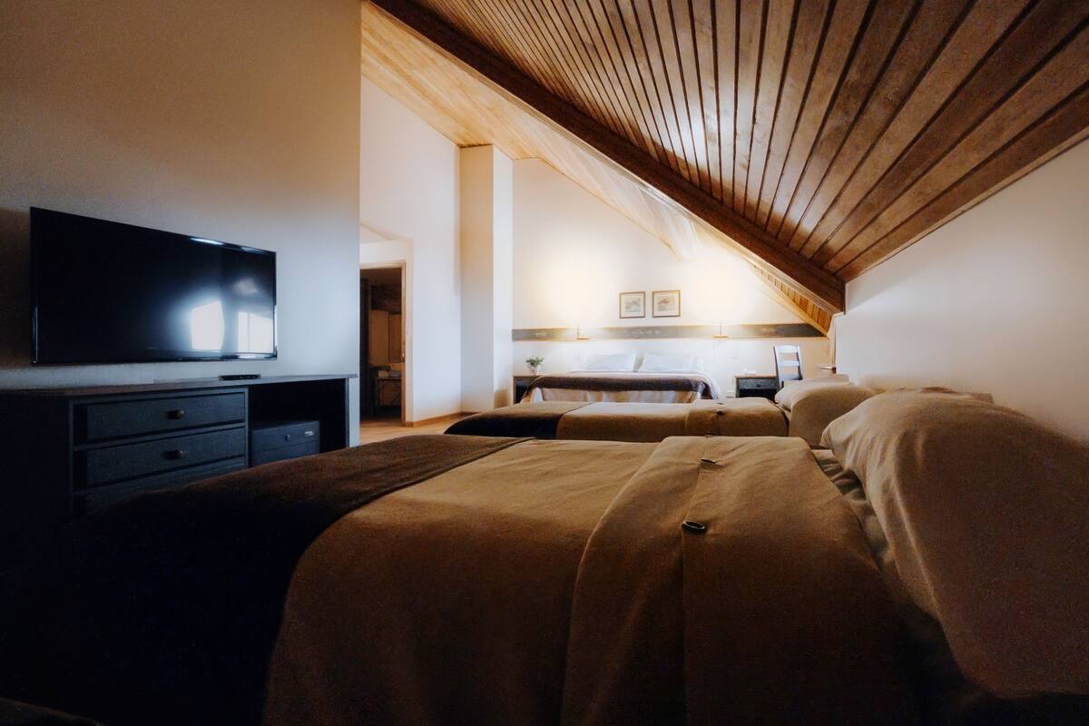 Ein Schlafzimmer mit Fernseher, Schreibtisch und zwei Betten.