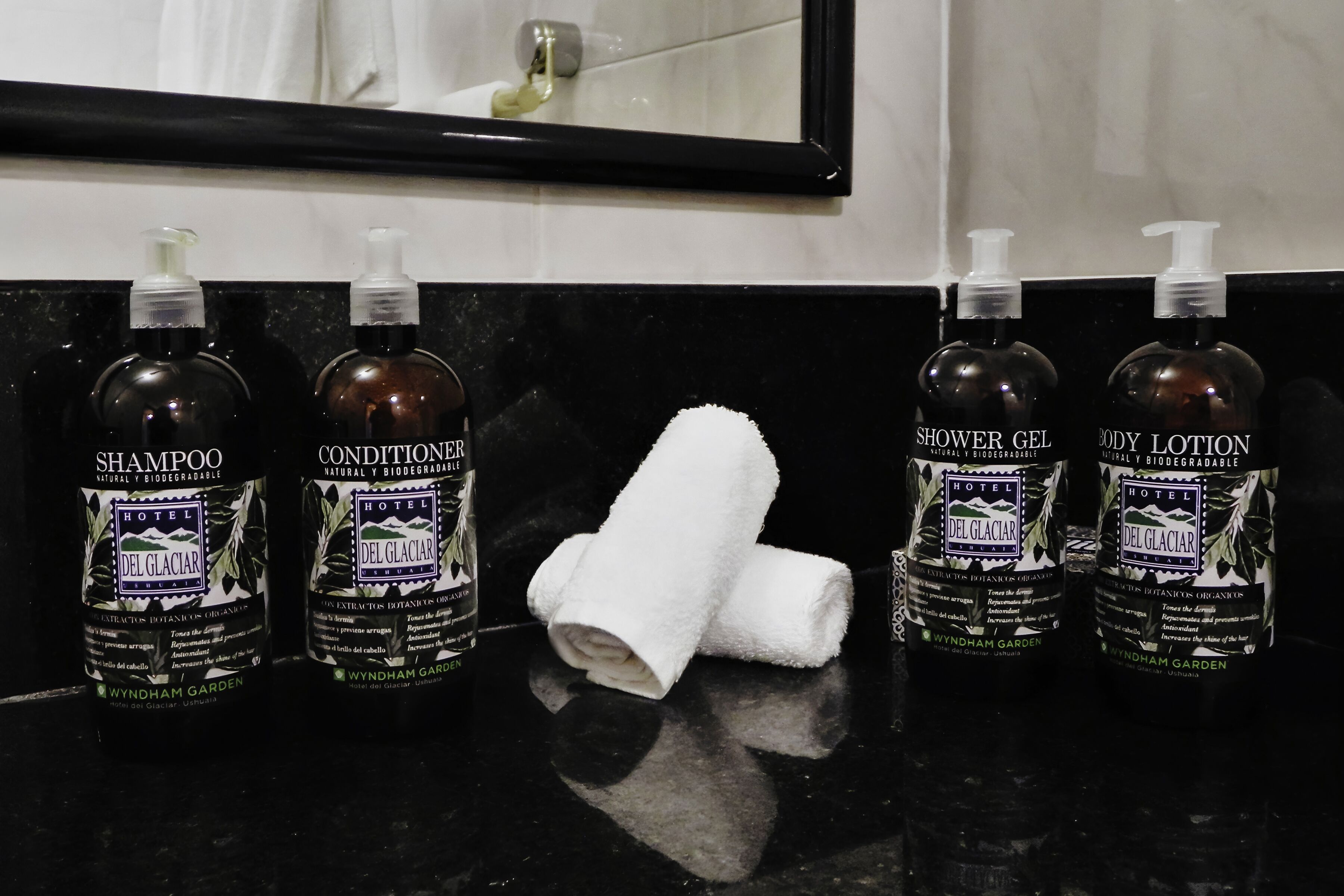 combined shower/bathtub, free toiletries, hair dryer, bidet