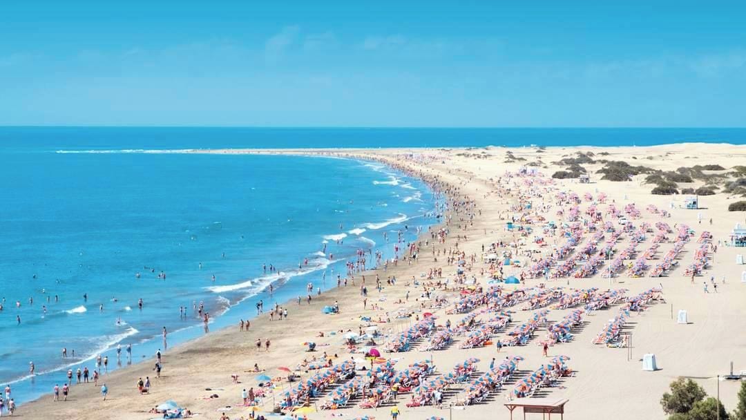 A beach with rows of sunbeds and umbrellas, a sandy shore, and the ocean.