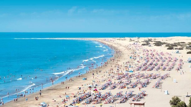 A beach with rows of sunbeds and umbrellas, a sandy shore, and the ocean. - Apartamentos Amazonas (San Bartolomé de Tirajana)