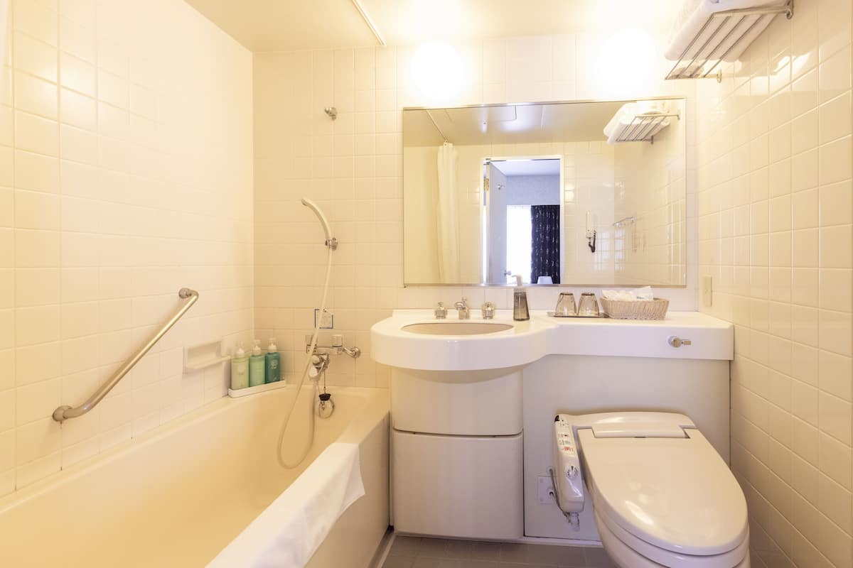 shower, free toiletries, hair dryer, slippers