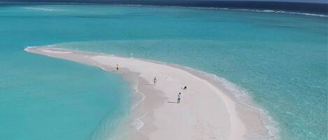 أنشطة الأطفال