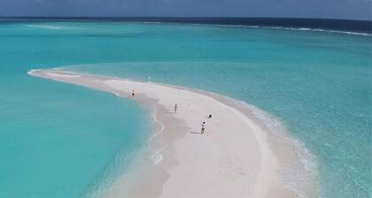 Whiteharp Beach Inn
