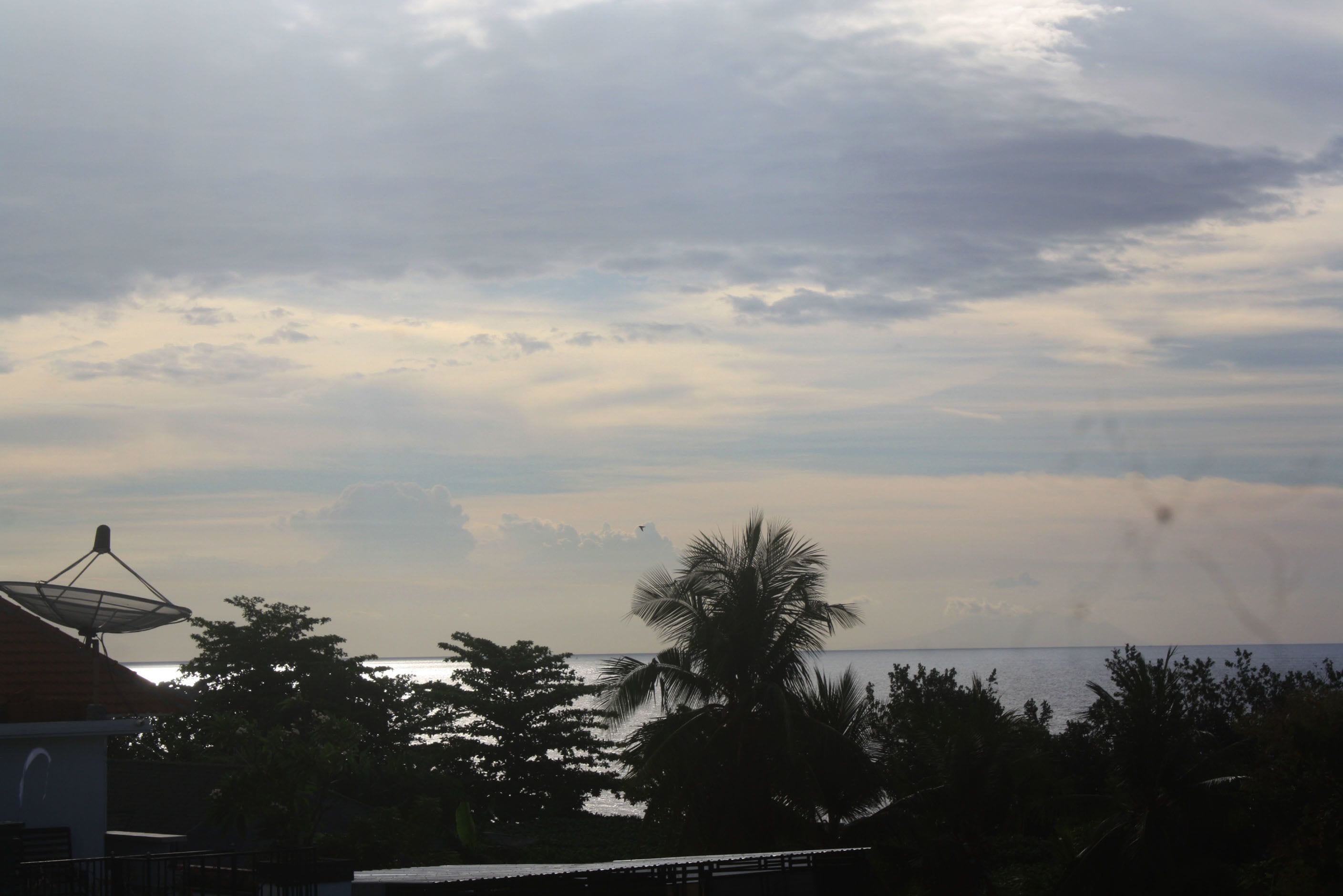 A view of a coastal area with a satellite dish, palm trees, and a building with a sloped roof.
