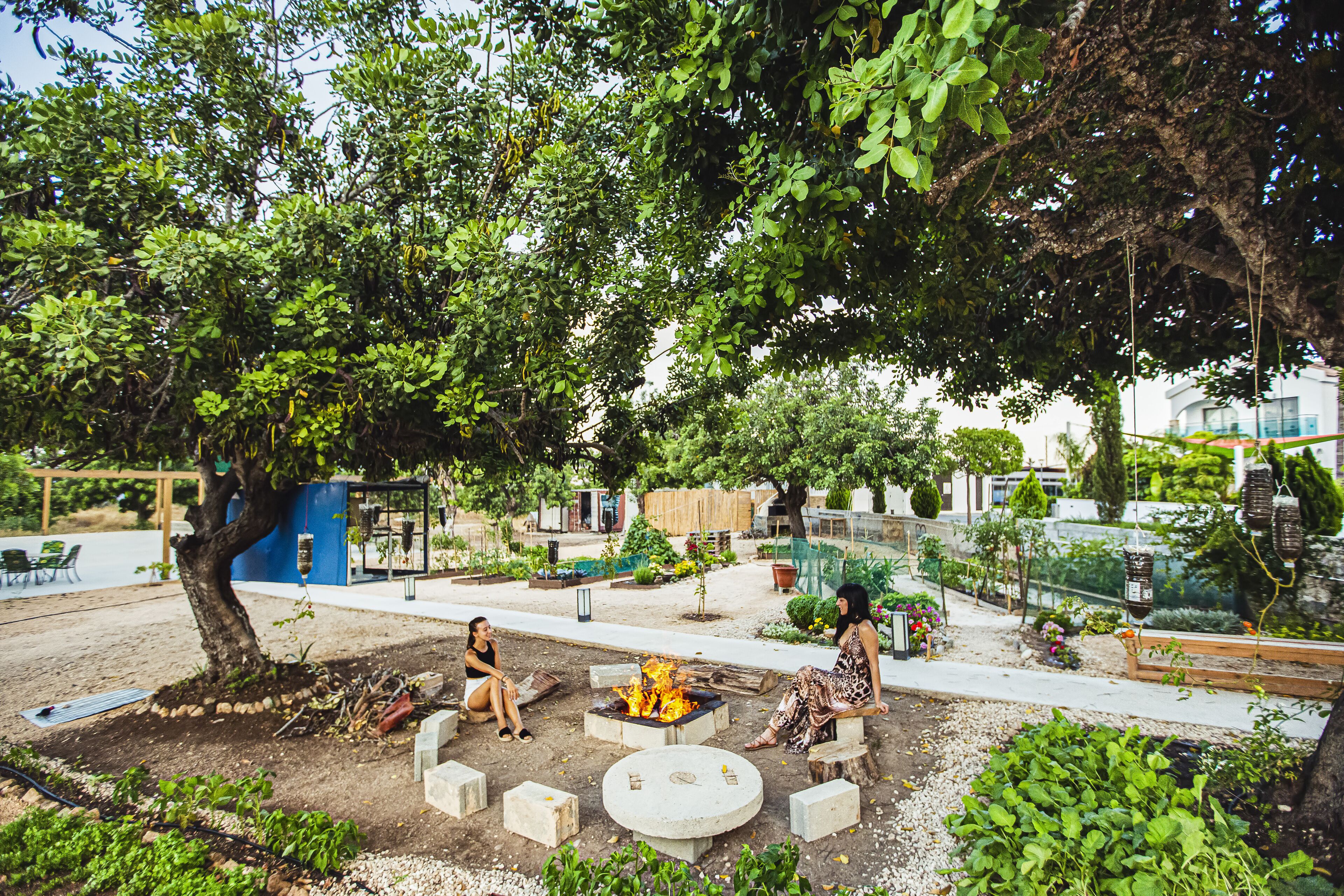 Un espacio al aire libre con asientos y una chimenea, rodeado de follaje y árboles.