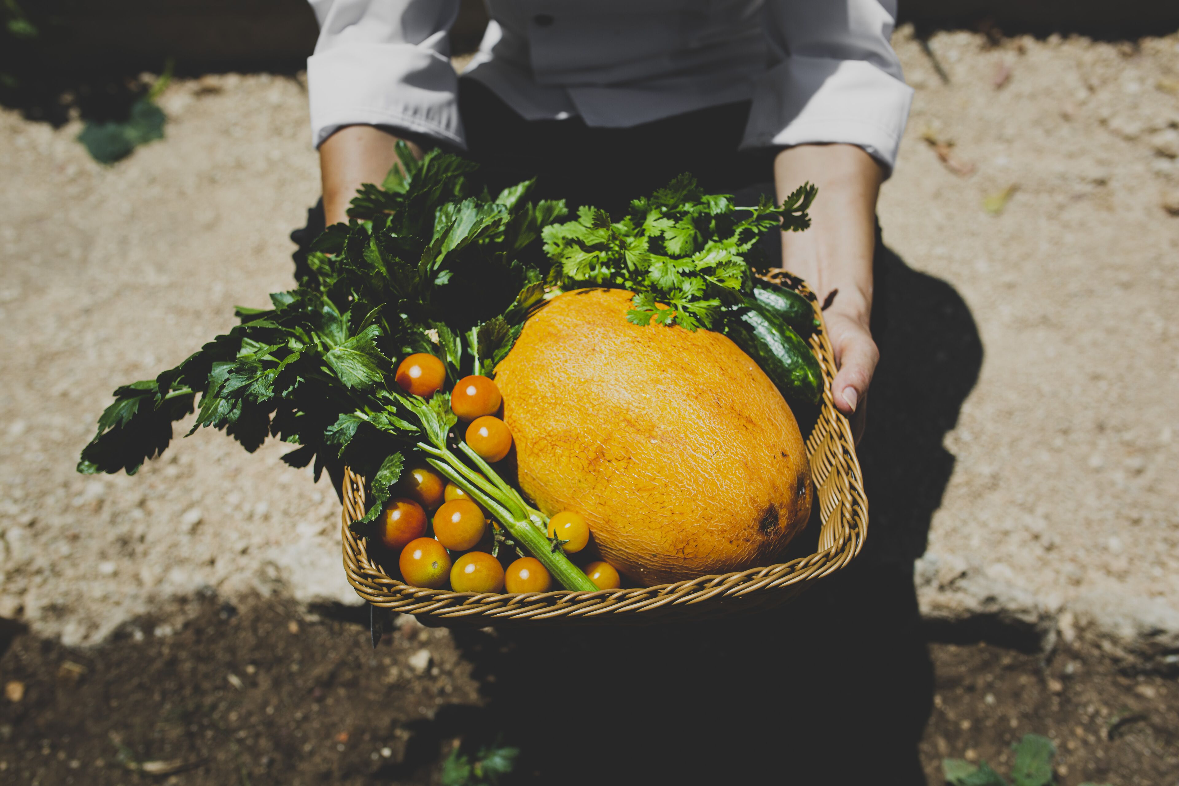 Una persona sostiene una cesta con una naranja grande, tomates cherry y vegetales de hoja.