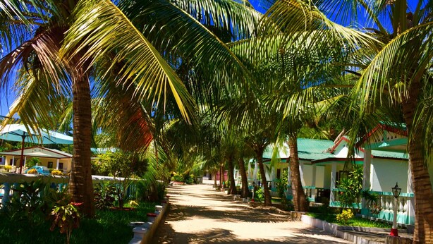 A pathway lined with palm trees leading to a row of houses with green roofs. - Saara Hotel (Mahajanga)