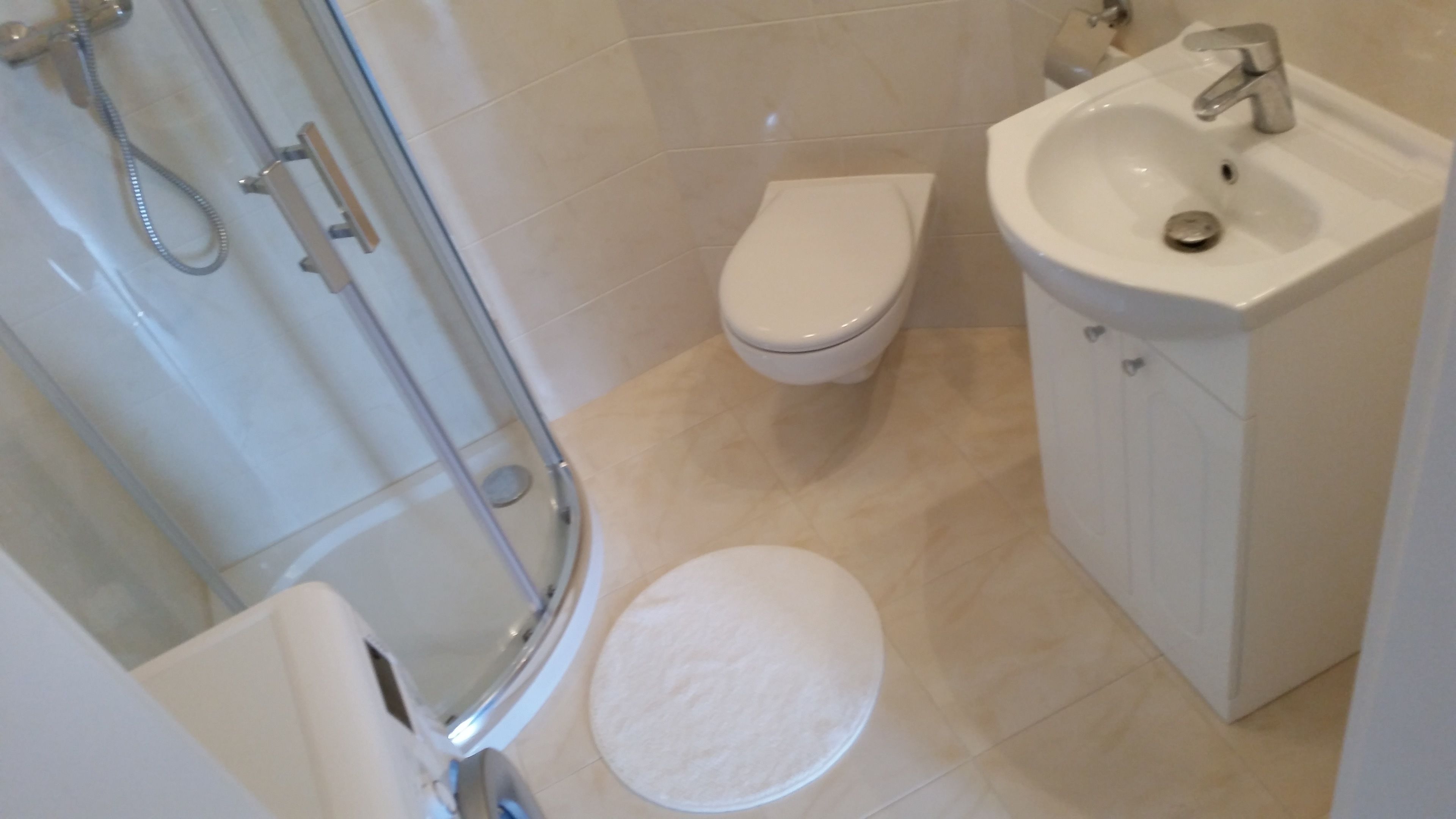 Une salle de bain avec des toilettes, un lavabo et une douche.