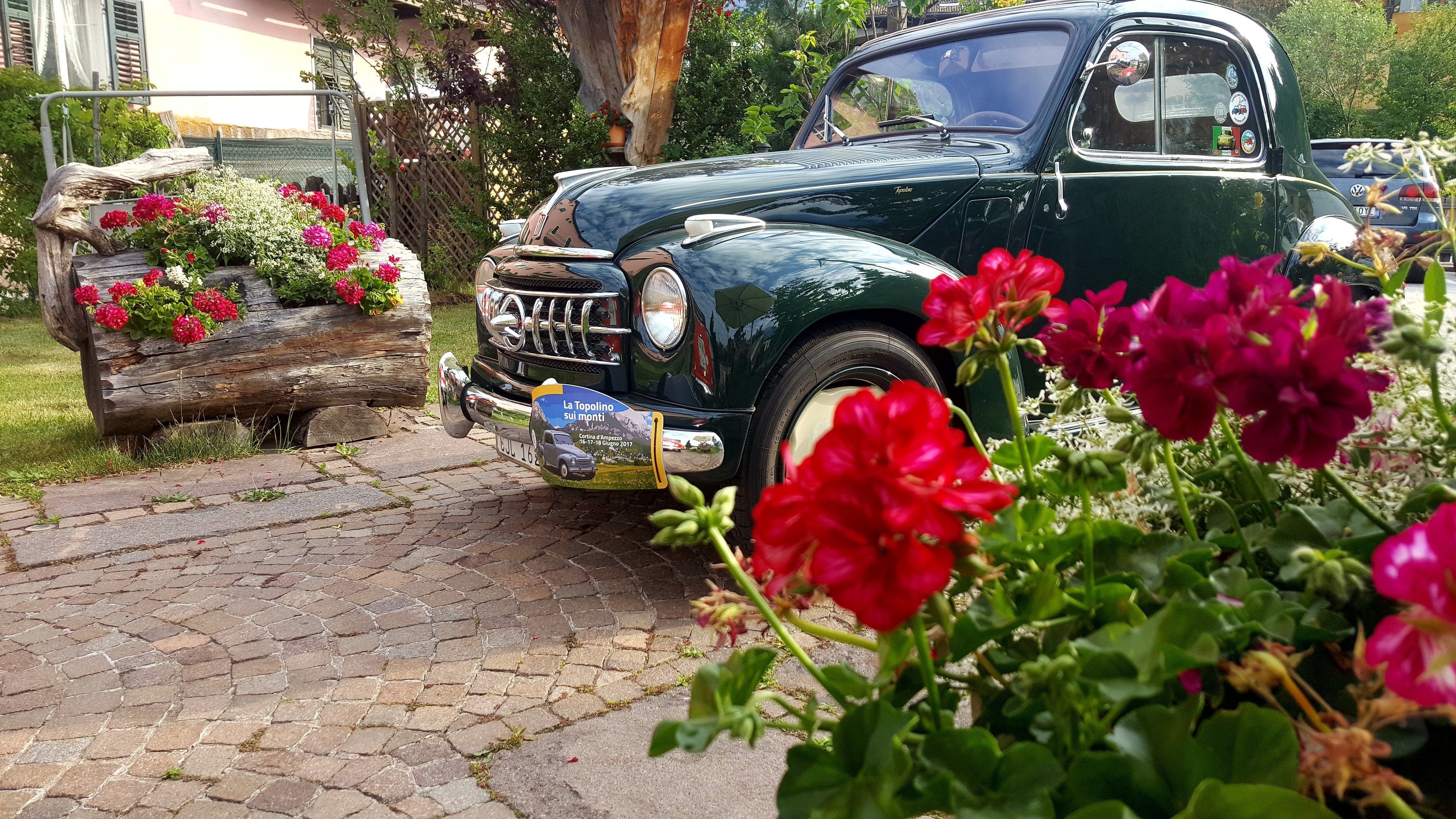 Giardino