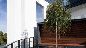 Un edificio moderno con fachada blanca curva, barandilla de vidrio y un jardín central con un árbol.