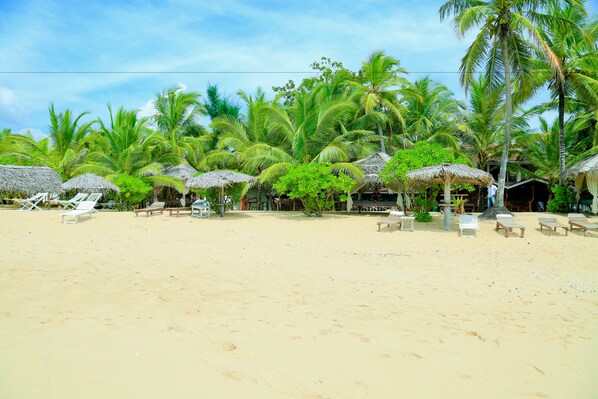 On the beach - IBIS Guesthouse (Tangalle)