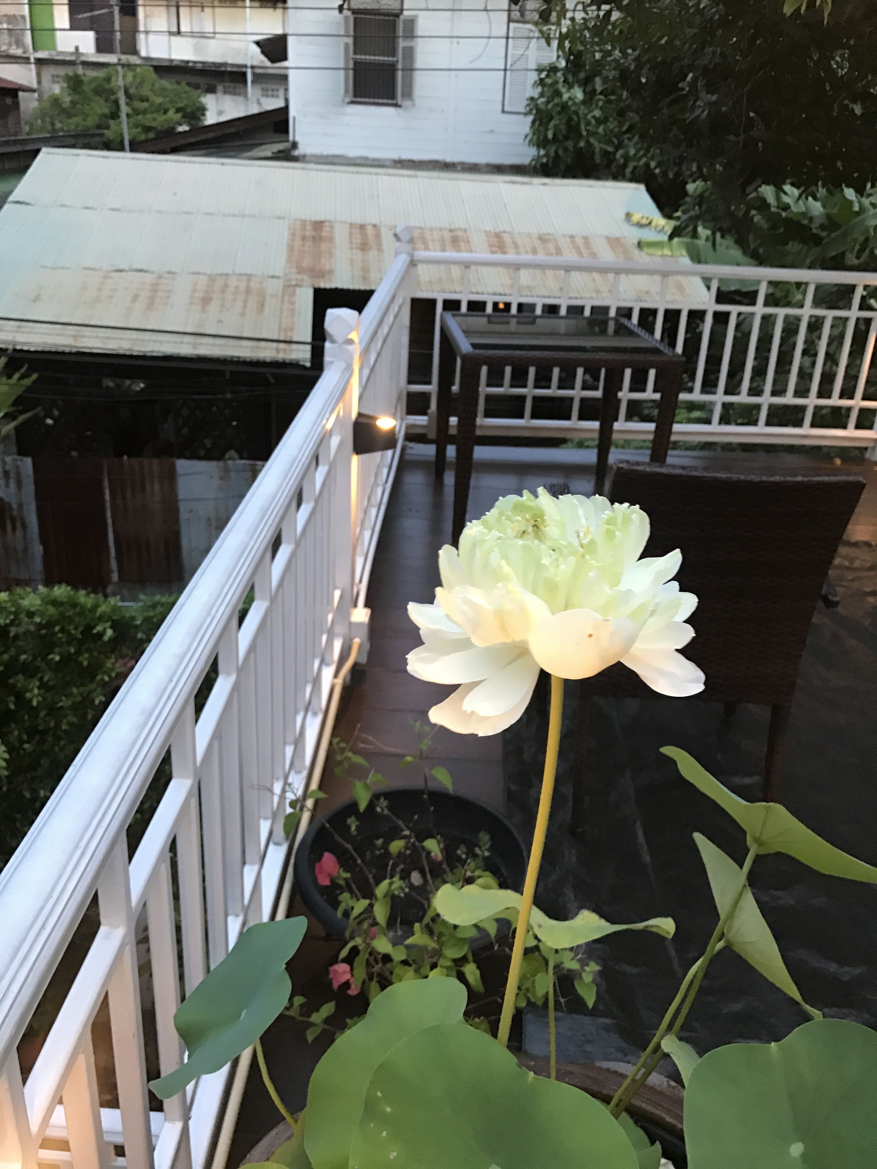 숙박 시설의 전망