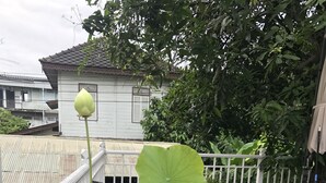 未分類圖片，第 5 張 (共 48 張)，按鈕