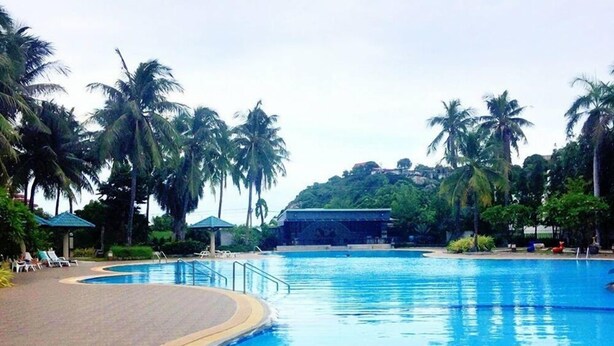 Una piscina amplia y cristalina rodeada de palmeras y sillas de descanso, con un edificio al fondo.