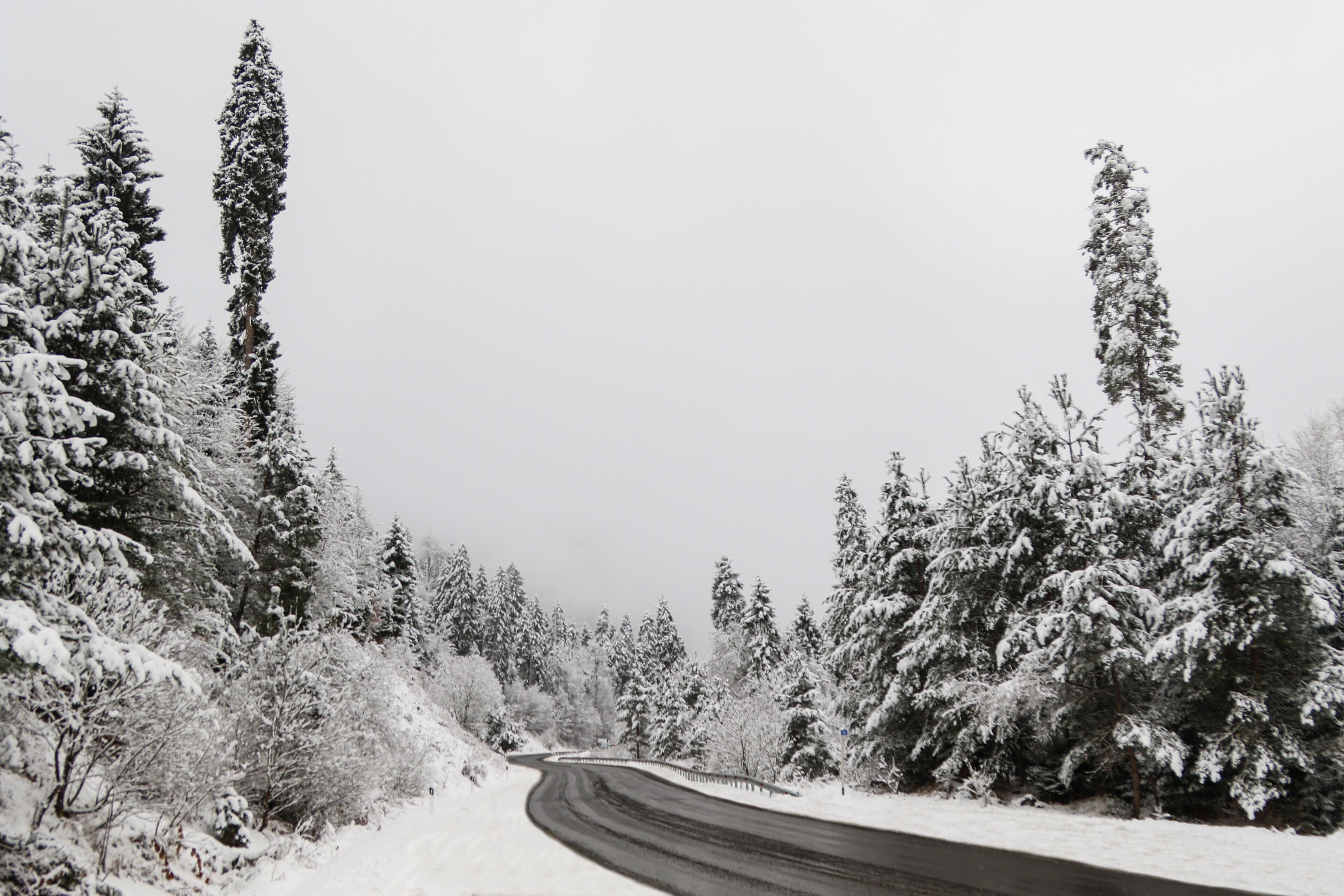 A snow-covered road winding through a forest with tall evergreen trees.