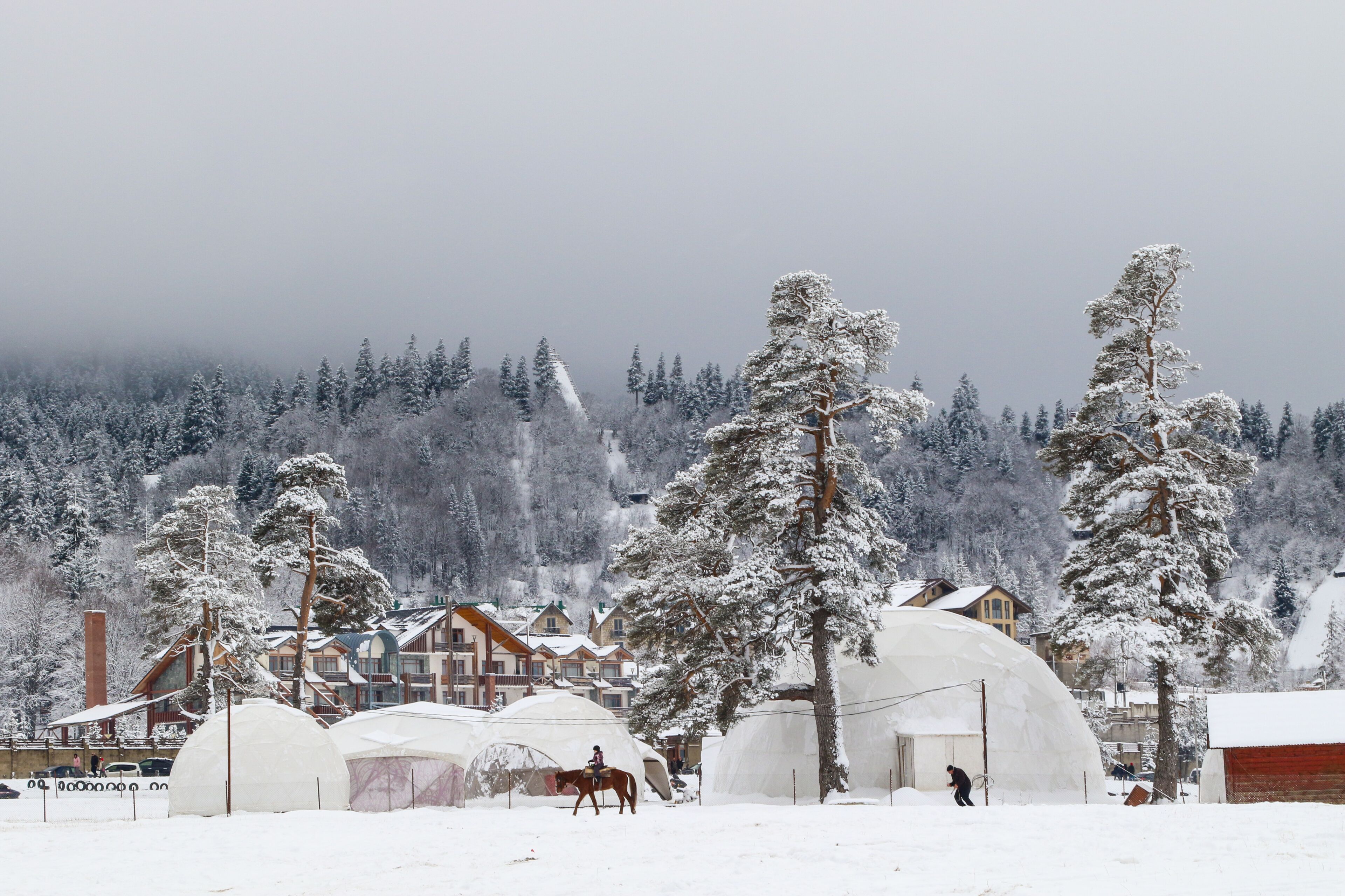 Un paysage enneigé avec des igloos et un cheval.