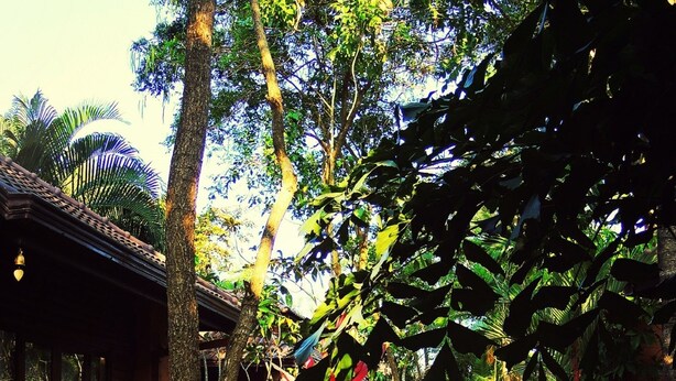 Property grounds - Polina Park Hotel (Koh Samui)