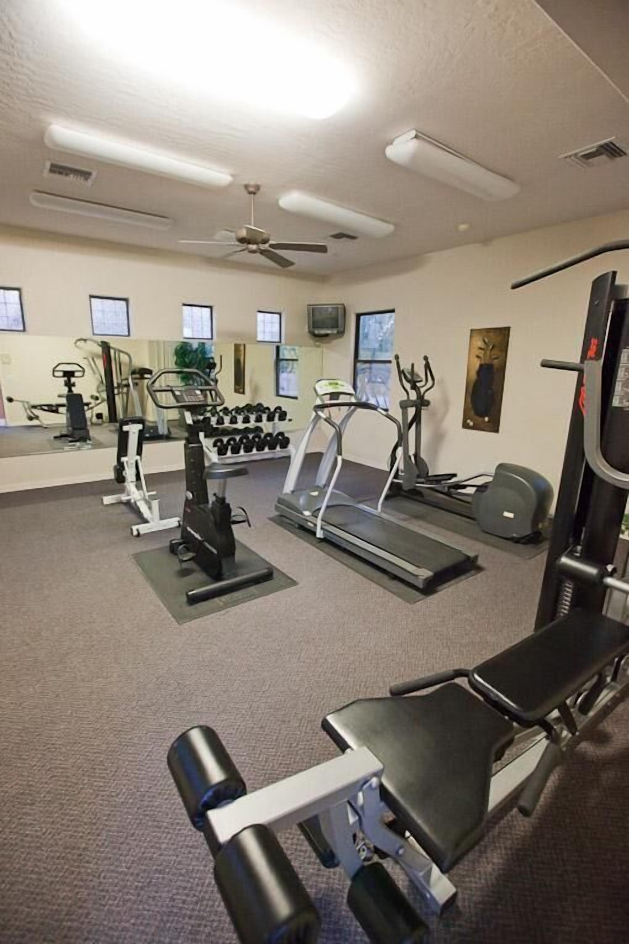A gym with cardio machines, free weights, and a bench press.