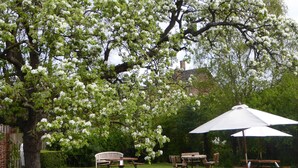 A garden with picnic tables and benches, surrounded by blooming trees. - The Howard Arms (Shipston on Stour)