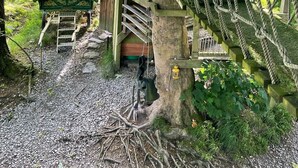 Eine rustikale Holzkonstruktion mit einer Seilbrücke, einer grünen Kutsche und einer Leiter, die zu einer Plattform führt.