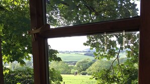 Blick durch ein Fenster mit Holzrahmen, das eine grüne Landschaft mit Bäumen und einem Feld zeigt.