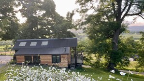 Eine Holzhütte mit einem Metalldach, umgeben von einem Acker voller Gänseblümchen und ein großer Baum auf der rechten Seite.